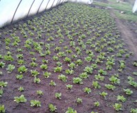 /album/kepgaleria-kepek/a935375-383246045121454-313008170-n-jpg1/