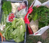 /album/kepgaleria-kepek/a936923-403846276394764-1406288909-n-jpg1/