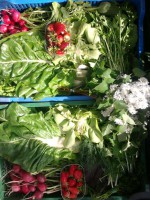 /album/kepgaleria-kepek/a942873-387338511378874-1029909737-n-jpg1/