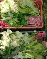 /album/kepgaleria-kepek/a943168-393596800753045-750005908-n-jpg1/