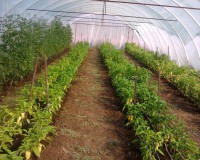 /album/kepgaleria-kepek/a995743-424249201021138-31344350-n-jpg1/