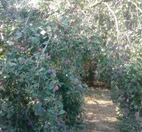 /album/kepgaleria-kepek/a1013593-427808083998583-532504712-n-jpg/