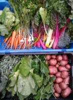 /album/kepgaleria-kepek/a1044337-413249885454403-779062877-n-jpg1/