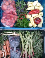 /album/kepgaleria-kepek/a1097944-443169895795735-1998743652-n-jpg1/