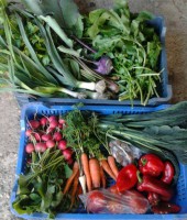 /album/kepgaleria-kepek/a1385305-1404898896411040-2005929558-n-jpg1/