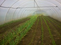 /album/kepgaleria-kepek/a1468661-1464394600461469-2582865533757001961-n-jpg1/