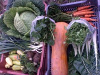 /album/kepgaleria-kepek/a10409324-1571798139721114-4879859497022492761-n-jpg1/