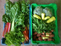 /album/kepgaleria-kepek/a10442435-1493811690853093-4567761464421753702-n-jpg1/