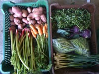 /album/kepgaleria-kepek/a10447838-1493811764186419-4880018388094007598-n-jpg1/