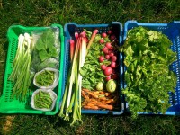 /album/kepgaleria-kepek/a10468644-1493811637519765-2312125808406224131-n-jpg1/