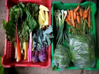 /album/kepgaleria-kepek/a10516698-1497687993798796-6707539040742873144-n-jpg1/