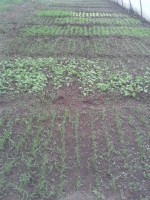 /album/kepgaleria-kepek/a10553540-749081681819875-8468678398643889024-n-jpg1/