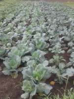 /album/kepgaleria-kepek/a10612913-749084075152969-6045450765604030973-n-jpg1/