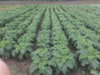 /album/kepgaleria-kepek/a10639540-749084281819615-4728524526939987393-n-jpg1/