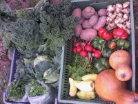 /album/kepgaleria-kepek/a10646966-1557529321147996-4925563807995439406-n-jpg1/